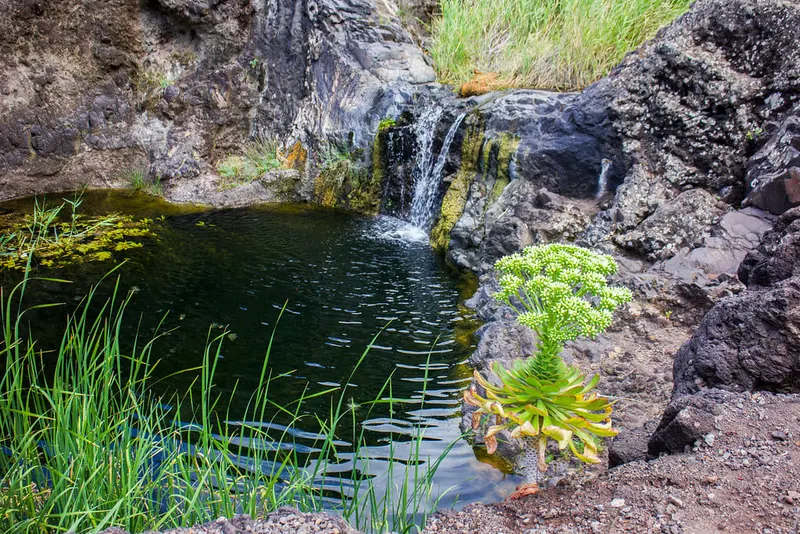 Curso de agua en el Barranco de Afur