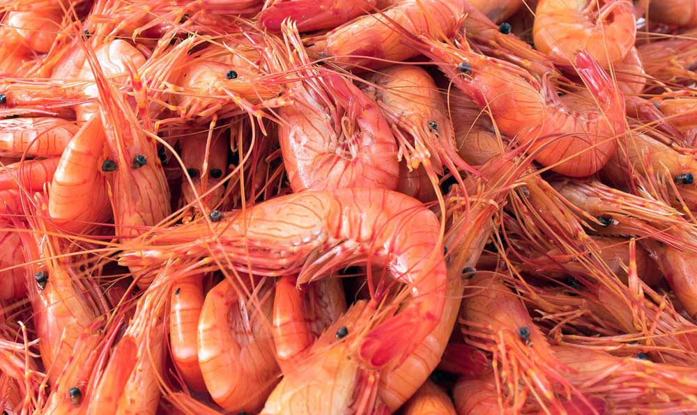 Canarian-style shrimp, tasty