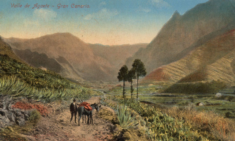 Agaete Valley