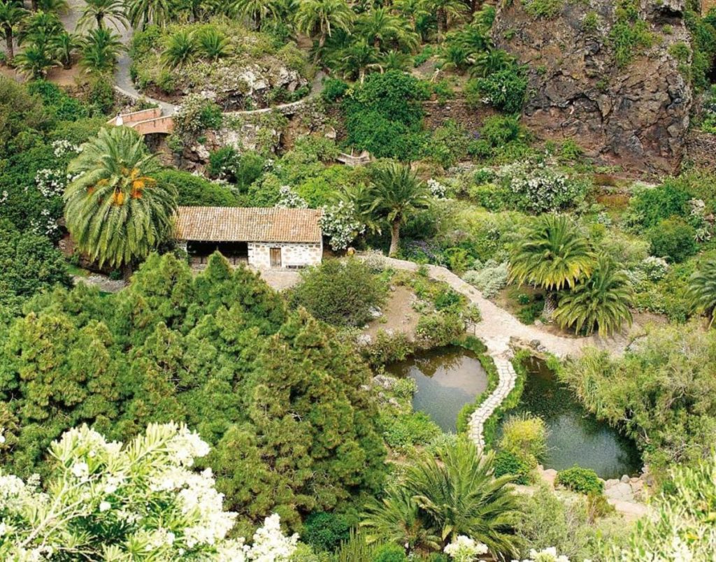 Panoramic view of the Viera y Clavijo Botanical Garden
