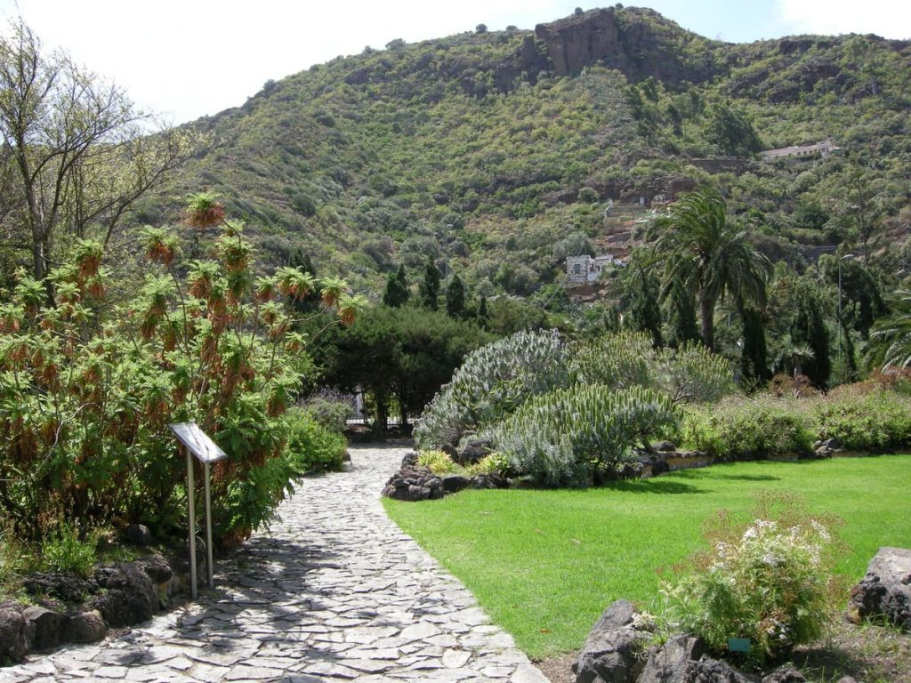 Viera y Clavijo Botanical Garden